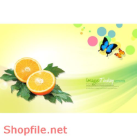 Mẫu Layout Poster Ẩm Thực Thiên Nhiên