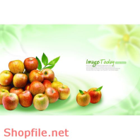 Mẫu Layout Poster Ẩm Thực Táo