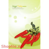 Mẫu Layout Poster Ẩm Thực Cay