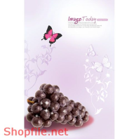 Mẫu Layout Poster Ẩm Thực Trái Cây