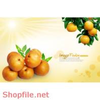 Mẫu Layout Poster Ẩm Thực Trái cây