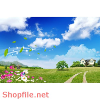 Poster hoa lá và trời xanh