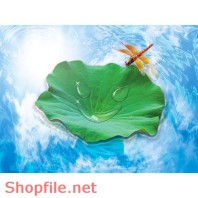 Poster mỹ phẩm sen mặt trời