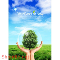 Poster chấp cánh ước mơ