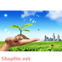 Poster mầm móng tương lai