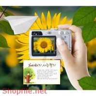 Poster hoa hướng dương trang trí