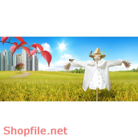 Poster hình nộm và cánh đồng