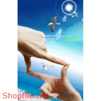 Poster chim hải âu