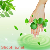 Poster bàn tay kiêu xa