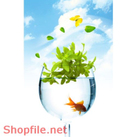 Poster cá vàng bơi