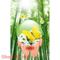 Poster khung cảnh thiên nhiên