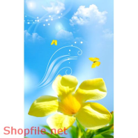 Poster hoa và bướm