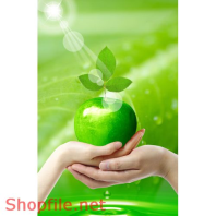 Poster mầm móng tương lai