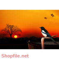 Poster hoàng hôn và chim