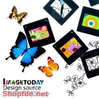 Poster bức tranh hoa bướm