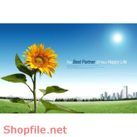 Poster hoa hướng dương