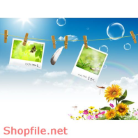 Poster bức tranh hoa bướm