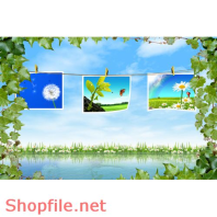 Poster bức tranh hoa lá