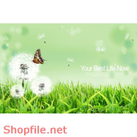 Poster bức tranh hoa bướm