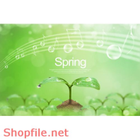 Poster mầm móng tương lai