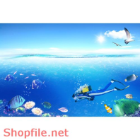 Poster biển xanh và chàng trai