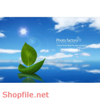 Poster mầm móng tương lai