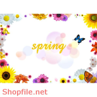 Poster hoa bướm trang trí