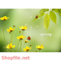 Poster hoa lá trang trí