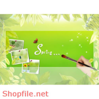 Poster bức tranh hoa bướm