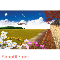 Poster nghệ thuật hiện đại