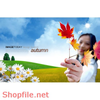 Poster cô gái lá bay