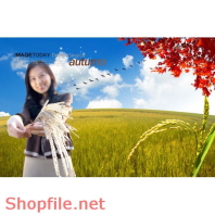 Poster cánh đồng và cô gái