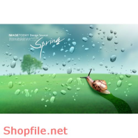 Poster ốc sên trên lá