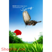 Poster bướm bay và hoa