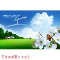 Poster ong nâu hút mật