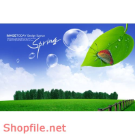 Poster thảo nguyên xanh