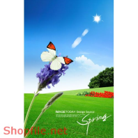 Poster bức tranh hoa bướm