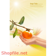 Poster trái hồng và bàn tay