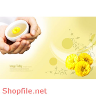 Poster hoa cúc vàng