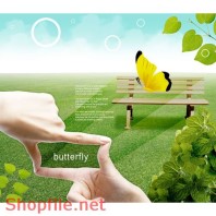 Poster khung cảnh thiên nhiên