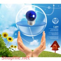 Poster bóng đèn chiếu sáng