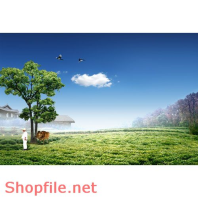 Poster thiên nhiên thoáng mát