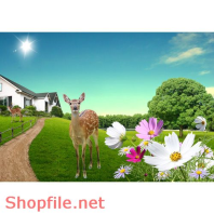 Poster con đường cỏ nai