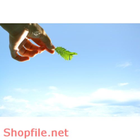 Poster bầu trời xanh