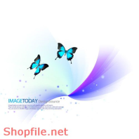 Poster bướm bay trang trí