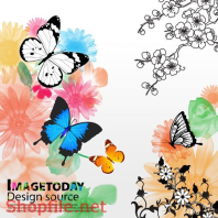 Poster hoa bướm trang trí