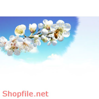 Poster ong nâu hút mật