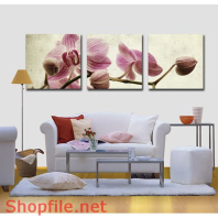 Tranh Dán Tường Hoa Lan Đẹp