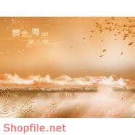 phông ghép ảnh cưới lovely PSD