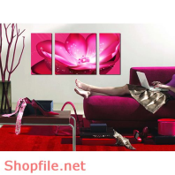 Tranh dán tường ấn tượng